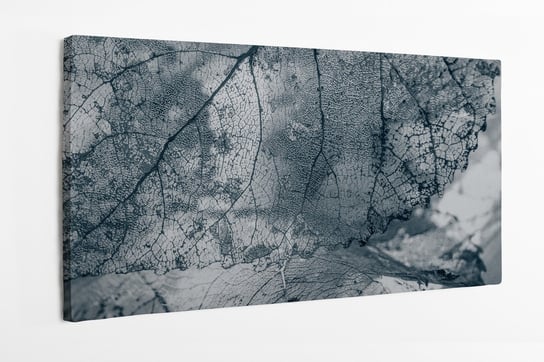 Obraz na płótnie HOMEPRINT, szkielet liścia, tektura, faktura liścia, szary, abstrakcja, natura 120x50 cm HOMEPRINT