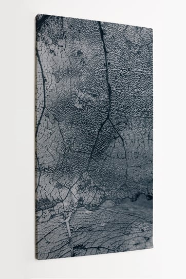 Obraz na płótnie HOMEPRINT, szkielet liścia, tektura, faktura liścia, szary, abstrakcja, natura 60x120 cm HOMEPRINT
