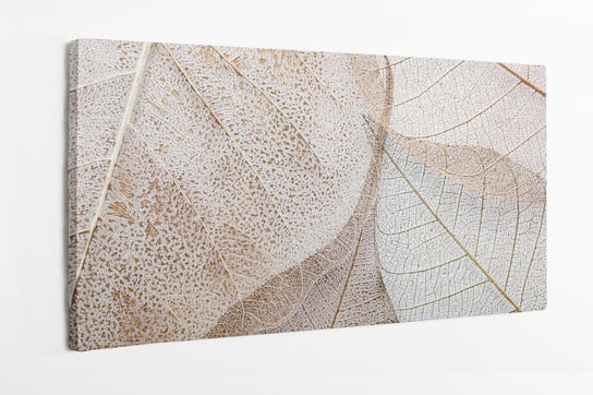 Obraz na płótnie HOMEPRINT, szkielety pięknych złotych liści na białym tle 120x60 cm HOMEPRINT