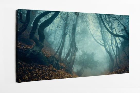 Obraz na płótnie HOMEPRINT, szlak przez tajemniczy, ciemny, stary, las we mgle, mroczna, jesień 100x50 cm HOMEPRINT