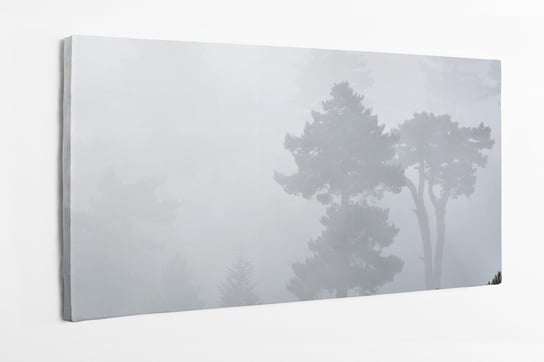 Obraz na płótnie HOMEPRINT, tajemniczy las za mgłą 140x70 cm HOMEPRINT