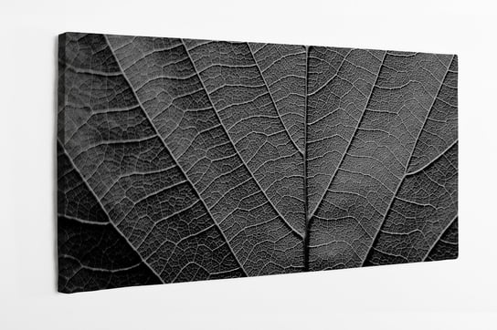 Obraz na płótnie HOMEPRINT, tekstura liścia, faktura, czarno-białe 120x50 cm HOMEPRINT
