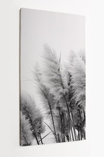 Obraz na płótnie HOMEPRINT, trawa ozdobna, zbliżenie, detale, czarno-białe 50x100 cm HOMEPRINT