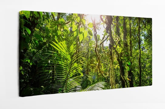 Obraz na płótnie HOMEPRINT, tropikalna dżungla na Kostaryce 120x60 cm HOMEPRINT