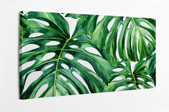 Obraz na płótnie HOMEPRINT, Tropikalne liści monstera na białym tle, zielone liście, 100x50 cm HOMEPRINT