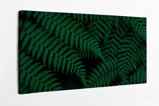 Obraz na płótnie HOMEPRINT, tropikalne liście, dżungla, paproć, liście paproci 140x70 cm HOMEPRINT