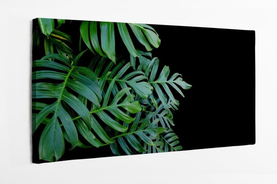 Obraz na płótnie HOMEPRINT, tropikalne liście, monstera na czarnym tle 120x50 cm HOMEPRINT
