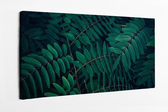 Obraz na płótnie HOMEPRINT, tropikalne liście w kolorze ciemnozielonym z kroplą wody deszczowej na czarnym tle 100x50 cm HOMEPRINT