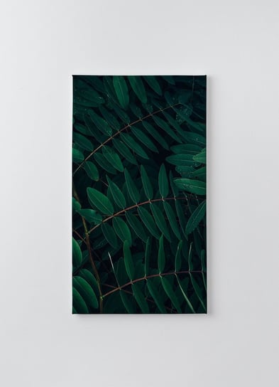 Obraz na płótnie HOMEPRINT, tropikalne liście w kolorze ciemnozielonym z kroplą wody deszczowej na czarnym tle 50x100 cm HOMEPRINT