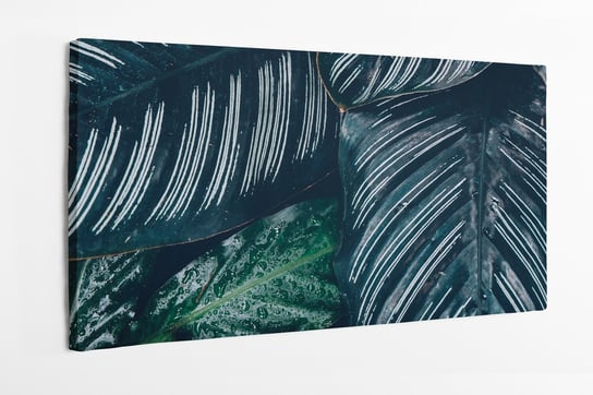 Obraz na płótnie HOMEPRINT, tropikalne liście, zbliżenie, detale, rosa na liściach, dżungla 120x50 cm HOMEPRINT