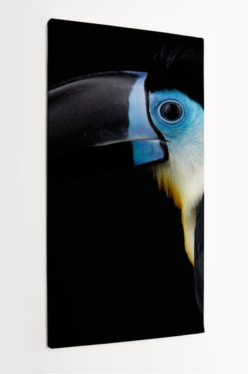 Obraz na płótnie HOMEPRINT, tukan żółtogardły, egzotyczny ptak, duży czarny dziób 50x100 cm HOMEPRINT