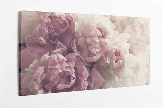 Obraz na płótnie HOMEPRINT, vintage, różowo białe piwonie 120x50 cm HOMEPRINT