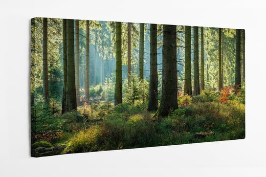 Obraz na płótnie HOMEPRINT, w sercu lasu świerkowego 140x70 cm HOMEPRINT