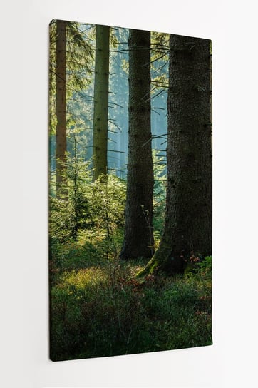 Obraz na płótnie HOMEPRINT, w sercu lasu świerkowego 50x100 cm HOMEPRINT