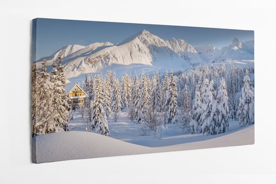 Obraz na płótnie HOMEPRINT, widok na Doliny Gąsienicowej w Tatrach 100x50 cm HOMEPRINT