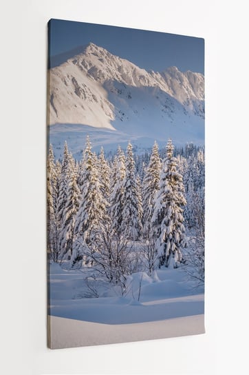 Obraz na płótnie HOMEPRINT, widok na Doliny Gąsienicowej w Tatrach 50x100 cm HOMEPRINT