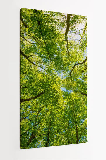 Obraz na płótnie HOMEPRINT, widok na zielone wierzchołki drzew, Włochy 50x100 cm HOMEPRINT