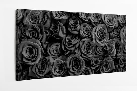 Obraz na płótnie HOMEPRINT, widok z góry, czarne róże 100x50 cm HOMEPRINT