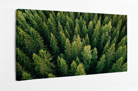 Obraz na płótnie HOMEPRINT, widok z góry na wierzchołki drzew iglastych, las Finlandia 100x50 cm HOMEPRINT