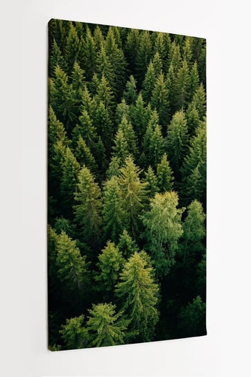 Obraz na płótnie HOMEPRINT, widok z góry na wierzchołki drzew iglastych, las Finlandia 60x120 cm HOMEPRINT