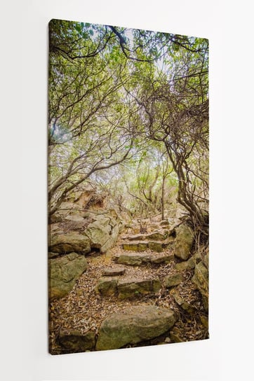 Obraz na płótnie HOMEPRINT, wiejska ścieżka, las, kamienna ścieżka, Sardynia, Włochy 50x100 cm HOMEPRINT