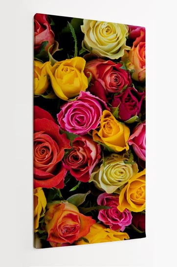 Obraz na płótnie HOMEPRINT, wielobarwne róże, kwiaty z góry, kolorowe, pole różane, ogród 60x120 cm HOMEPRINT