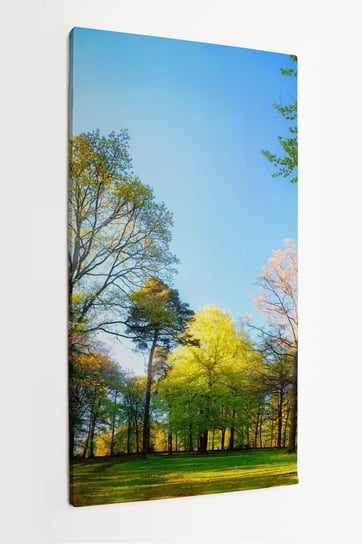 Obraz na płótnie HOMEPRINT, wiosenne, promienie słońca, park, poranek, natura 50x100 cm HOMEPRINT