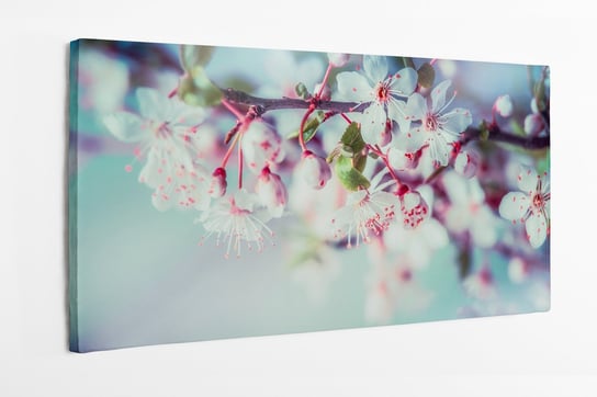 Obraz na płótnie HOMEPRINT, wiosna, kwitnąca wiśnie, kwitnące wiśnie, gałązki 120x50 cm HOMEPRINT
