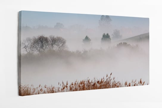 Obraz na płótnie HOMEPRINT, wiosna na Warmii, Warmia, Mazury, mgła, warmińsko-mazurskim, Polska,  mglisty poranek 100x50 cm HOMEPRINT
