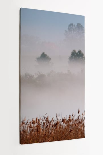 Obraz na płótnie HOMEPRINT, wiosna na Warmii, Warmia, Mazury, mgła, warmińsko-mazurskim, Polska,  mglisty poranek 50x100 cm HOMEPRINT