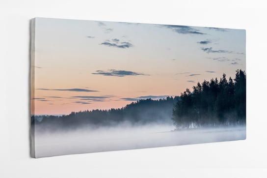 Obraz na płótnie HOMEPRINT, wschód słońca, mglisty las, poranek, mgła 100x50 cm HOMEPRINT