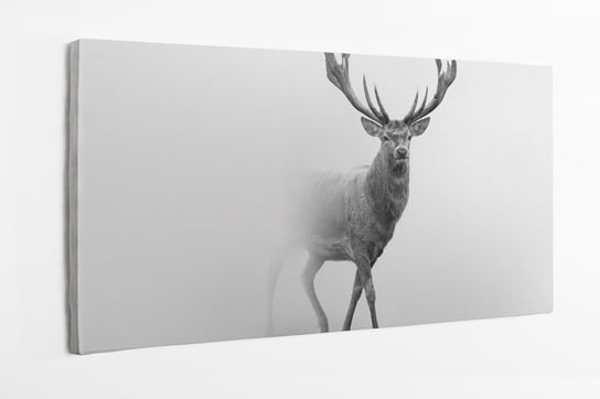 Obraz na płótnie HOMEPRINT, wychodzący jeleń zza mgły, natura, 100x50 cm HOMEPRINT