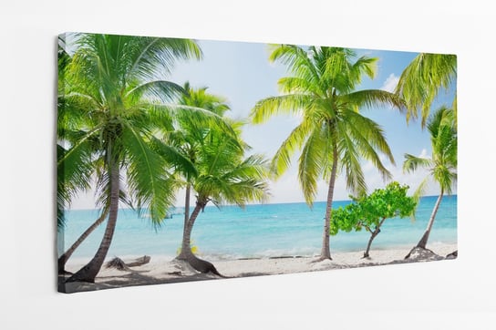 Obraz na płótnie HOMEPRINT, wyspa Catalina, Dominikana, tropiki, wakacje, plaża, palmy, morze, lato, relaks 100x50 cm HOMEPRINT