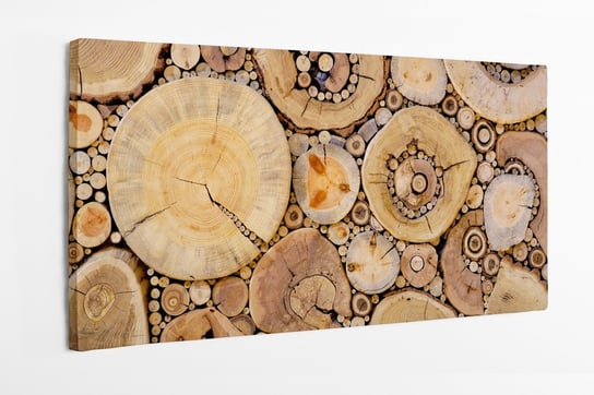 Obraz na płótnie HOMEPRINT,  wzór fragmentów ściętych pni drew, las 120x50 cm HOMEPRINT