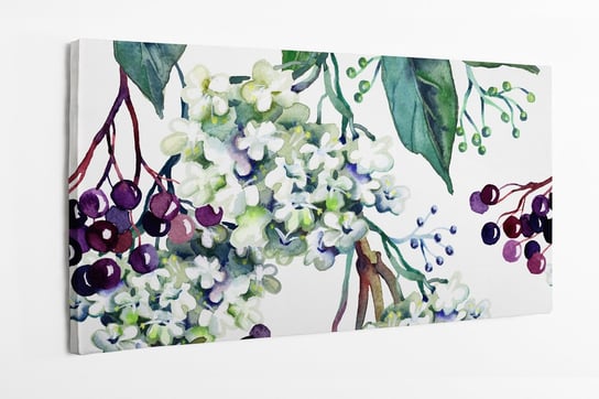 Obraz na płótnie HOMEPRINT, wzór, natura, rośliny na białym tle, akwarele, liście, jarzębina 120x50 cm HOMEPRINT