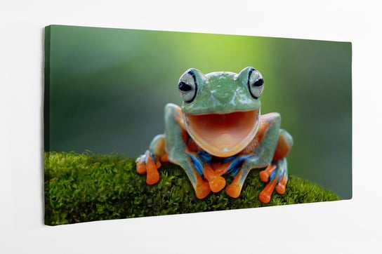 Obraz na płótnie HOMEPRINT, żaba, uśmiech, :) , chwytnica kolorowa, drzewołaz zielony, zabawne 100x50 cm HOMEPRINT