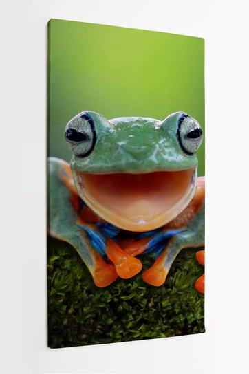 Obraz na płótnie HOMEPRINT, żaba, uśmiech, :) , chwytnica kolorowa, drzewołaz zielony, zabawne 50x100 cm HOMEPRINT