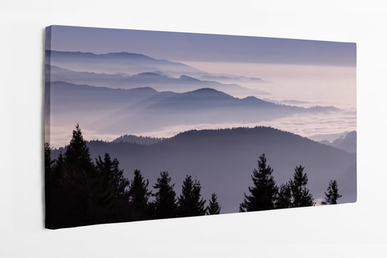 Obraz na płótnie HOMEPRINT, zachód słońca, zamglony las, Niemcy 120x50 cm HOMEPRINT