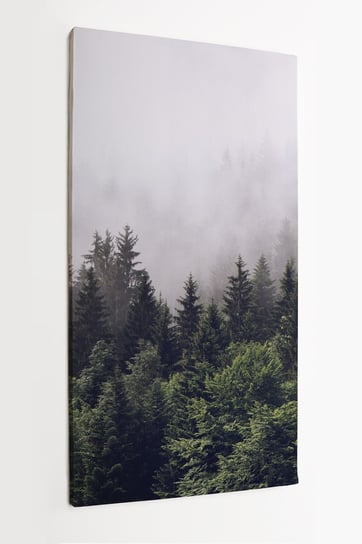 Obraz na płótnie HOMEPRINT, zalesione zbocze górskie, stok górski, mgła, las, tajemniczy, majestatyczny 60x120 cm HOMEPRINT