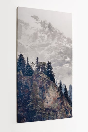 Obraz na płótnie HOMEPRINT, zaśnieżone góry, panorama, Europa, piękne, mroczny, mglisty, las ,pasmowo górskie 50x100 cm HOMEPRINT