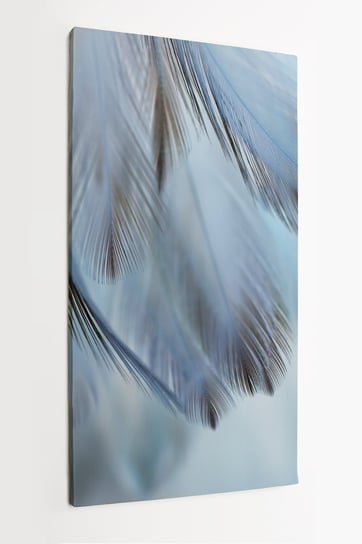 Obraz na płótnie HOMEPRINT, zbliżenie na błękitne pióra ptaków z rozmyciem 50x100 cm HOMEPRINT