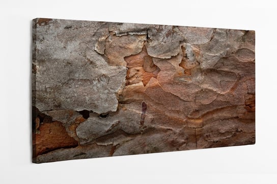 Obraz na płótnie HOMEPRINT, zbliżenie na korę sosnową z naturalnymi pęknięciami, natura 100x50 cm HOMEPRINT