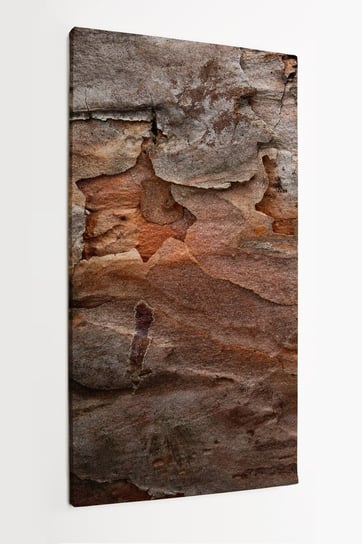 Obraz na płótnie HOMEPRINT, zbliżenie na korę sosnową z naturalnymi pęknięciami, natura 50x100 cm HOMEPRINT