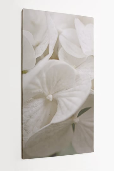 Obraz na płótnie HOMEPRINT, zbliżenie na płatki białej hortensji ogrodowej 50x100 cm HOMEPRINT