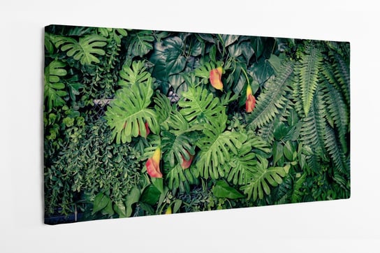 Obraz na płótnie HOMEPRINT, zielona dżungla, tropiki, kwiaty, tropikalne rośliny 120x50 cm HOMEPRINT