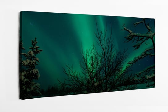 Obraz na płótnie HOMEPRINT, zielona zorza polarna, zima, las 120x60 cm HOMEPRINT