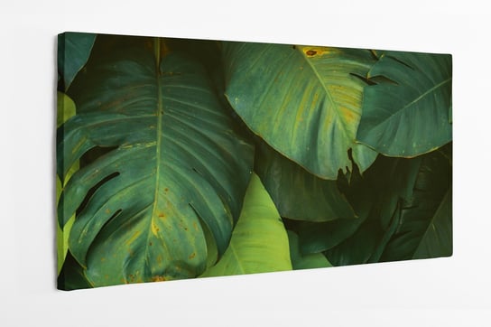 Obraz na płótnie HOMEPRINT, zielone liście, las tropikalny, tropikalne, monstera, rośliny 120x50 cm HOMEPRINT