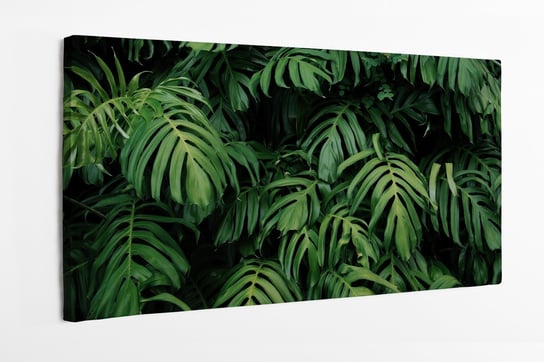 Obraz na płótnie HOMEPRINT, zielone liście monstery, monstera, dżungla, liście tropikalne 140x70 cm HOMEPRINT
