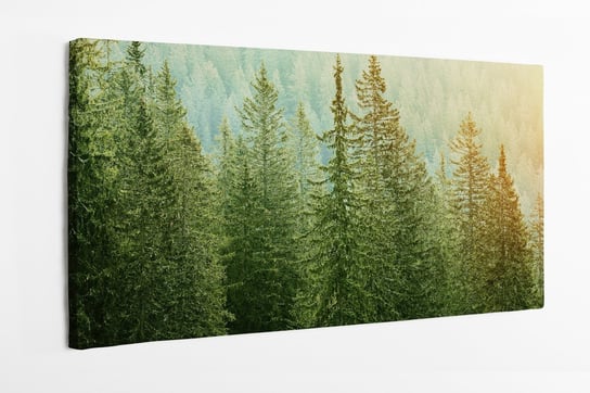 Obraz na płótnie HOMEPRINT, zielony las iglasty, promienie słońca, wschód słońca 120x60 cm HOMEPRINT