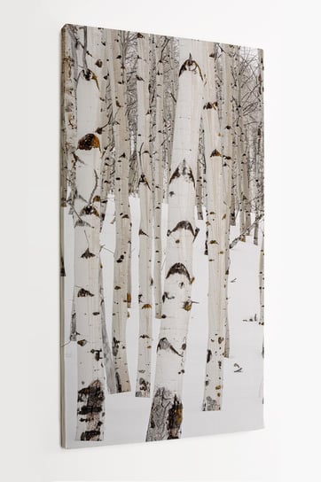 Obraz na płótnie HOMEPRINT,  zimowa odsłona lasu brzozowego, natura 60x120 cm HOMEPRINT